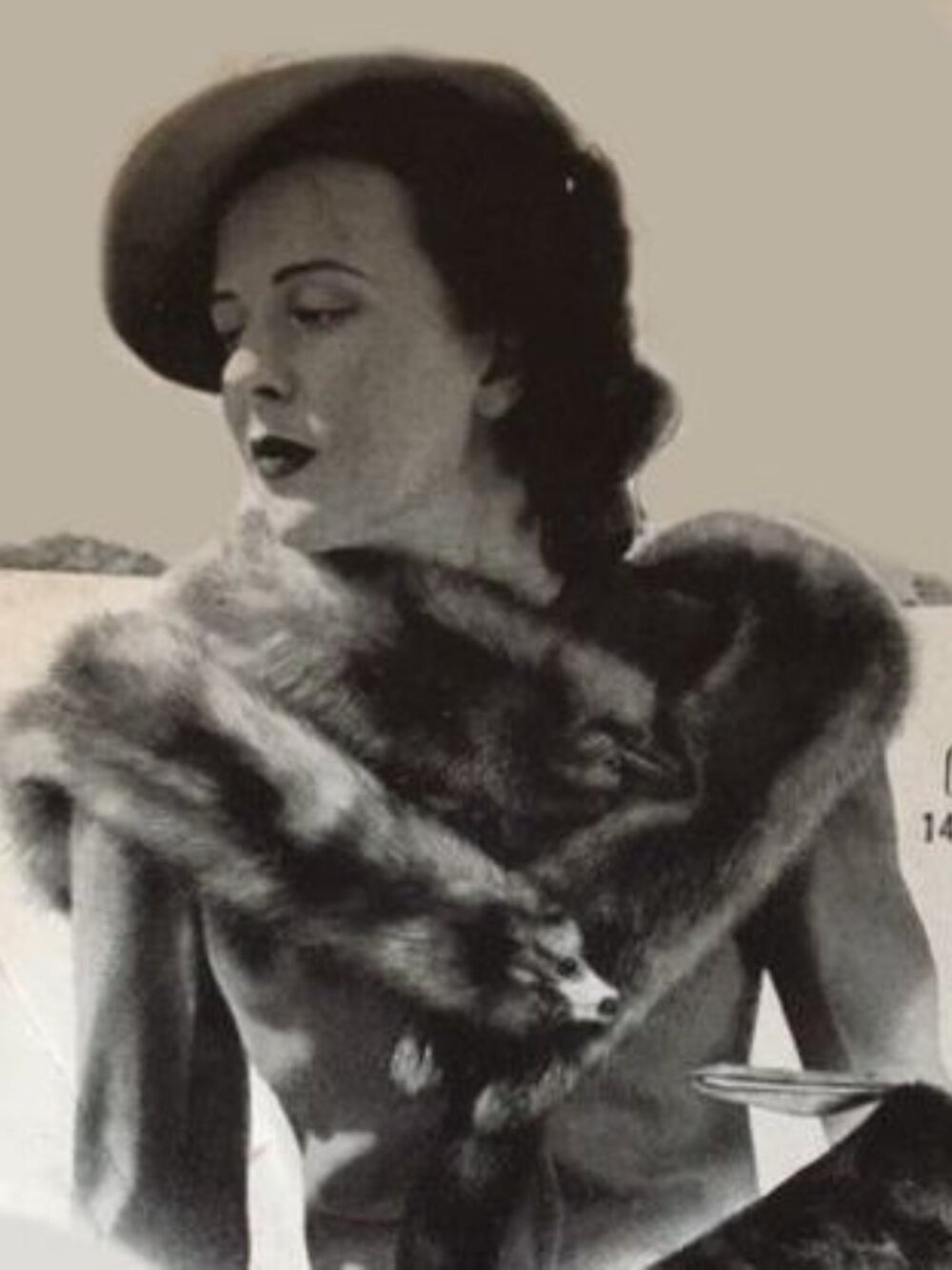 Vintage Fur 1940s Real Fur Mink Collar / Stole Salvaged Pelts with Clips